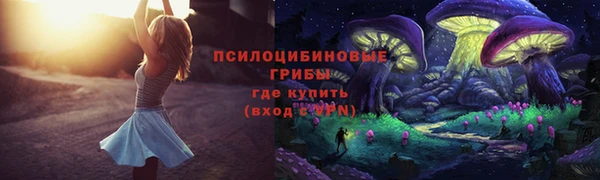 соль ск Фёдоровский