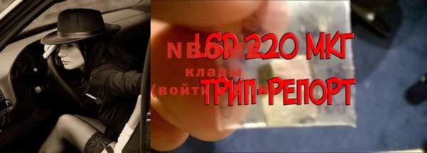 ешки Каменногорск