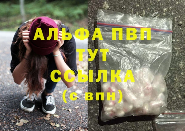 ешки Каменногорск