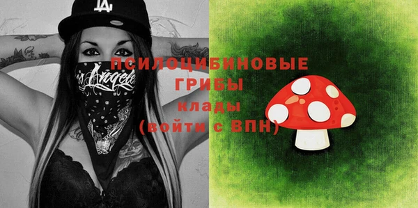 ешки Каменногорск