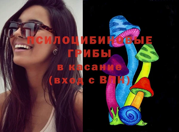 ешки Каменногорск